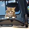 Absolute_Reality_v16_Cat_Truck_Tired_2.jpg