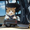 Absolute_Reality_v16_Cat_Truck_Tired_0.jpg