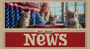 flux_nomad_show_with_three_Cats_at_a_table_on_the_show_front_in_8da351b7-3a5a-498f-8aa1-7ca4bb...png