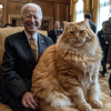 flux_nomad_6_foot_tall_cats_friends_with_Joe_Biden_e0352cde-72a6-4555-97eb-21c78431ae4b.png