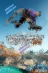 IMG_7626.jpeg