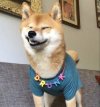 IMG_0505.jpeg