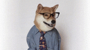 1666798152041.gif