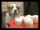 1674676149888.gif