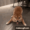 1674676664172.gif
