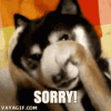 1675098698978.gif