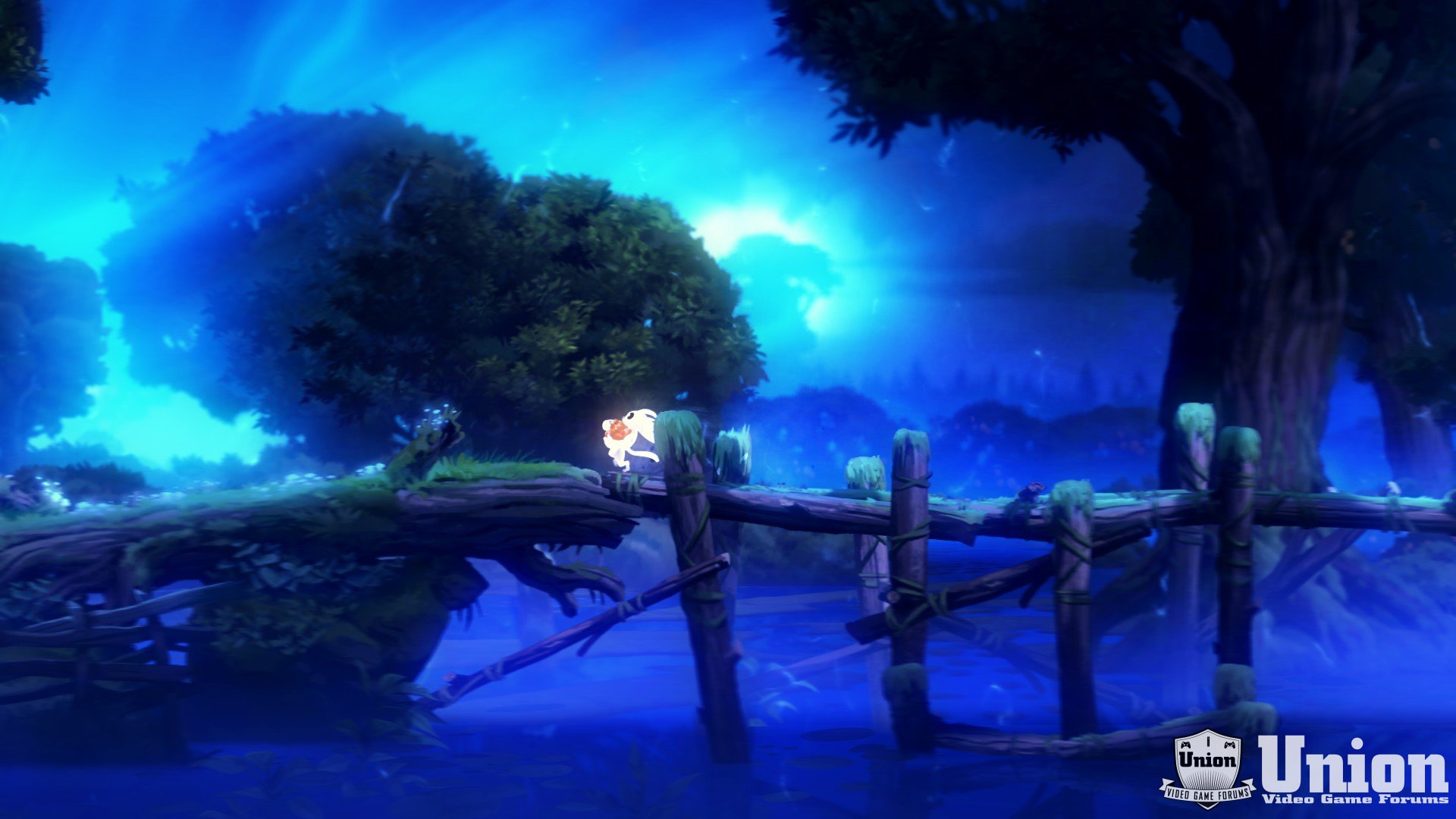 Ori and the Blind Forest 03