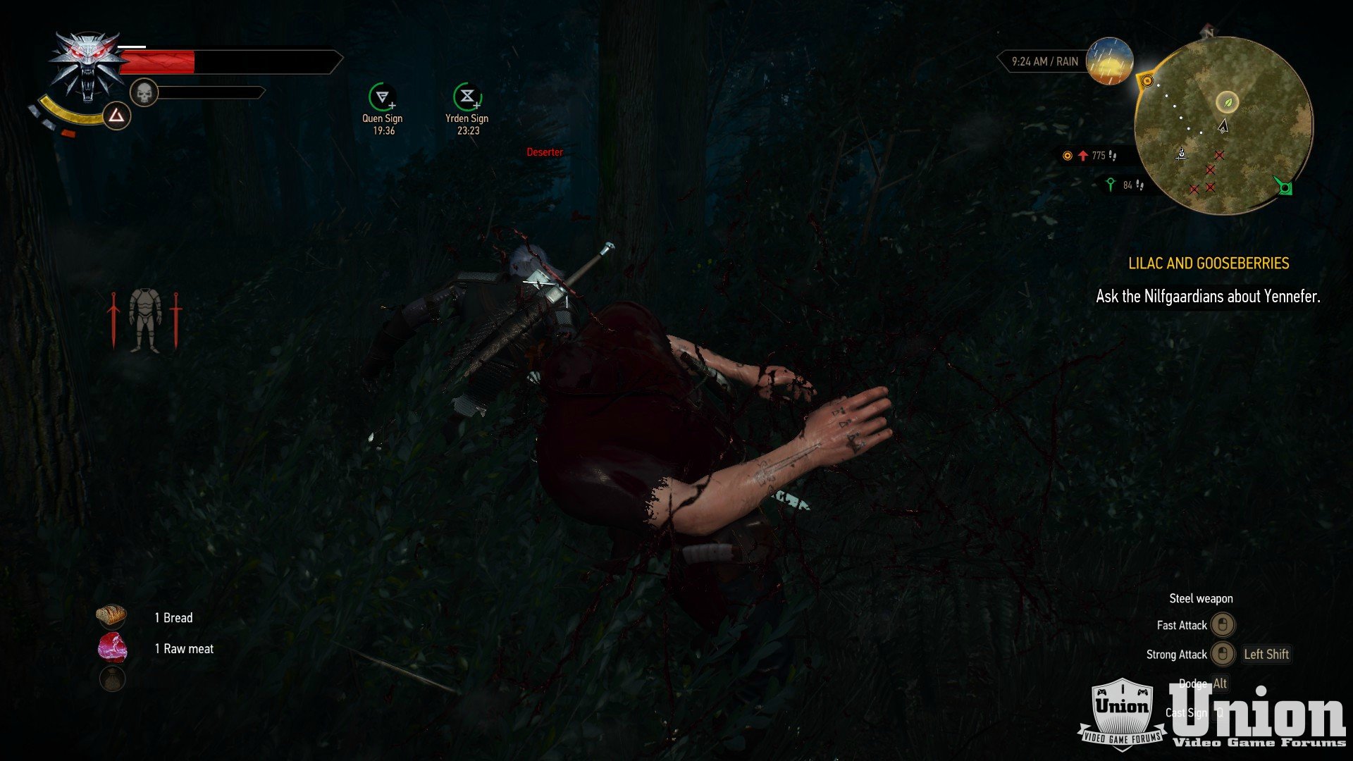 The Witcher 3 03